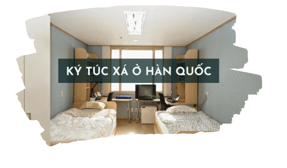 Các Lựa Chọn Chỗ Ở Cho Sinh Viên Du Học Tại Hàn Quốc